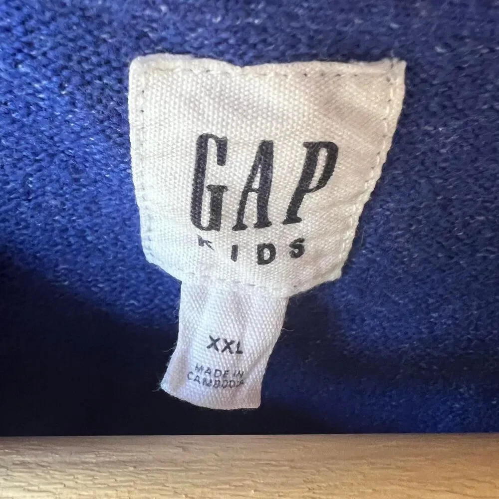 Gap Blue and Purple Jumper